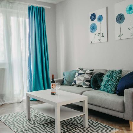 Business And Travel Central Apartment Timişoara Buitenkant foto